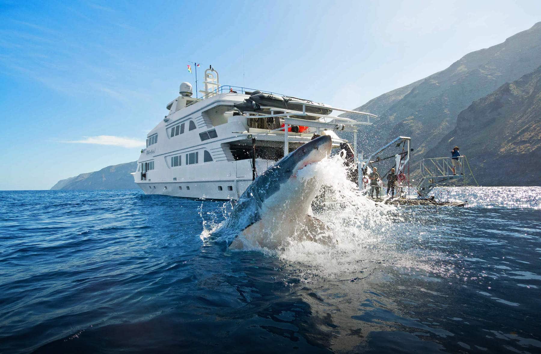 Ultimate Luxury Great White Shark Expedition